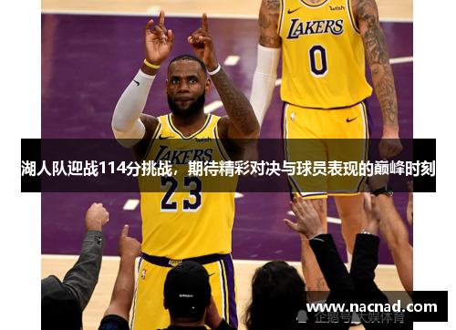 湖人队迎战114分挑战，期待精彩对决与球员表现的巅峰时刻